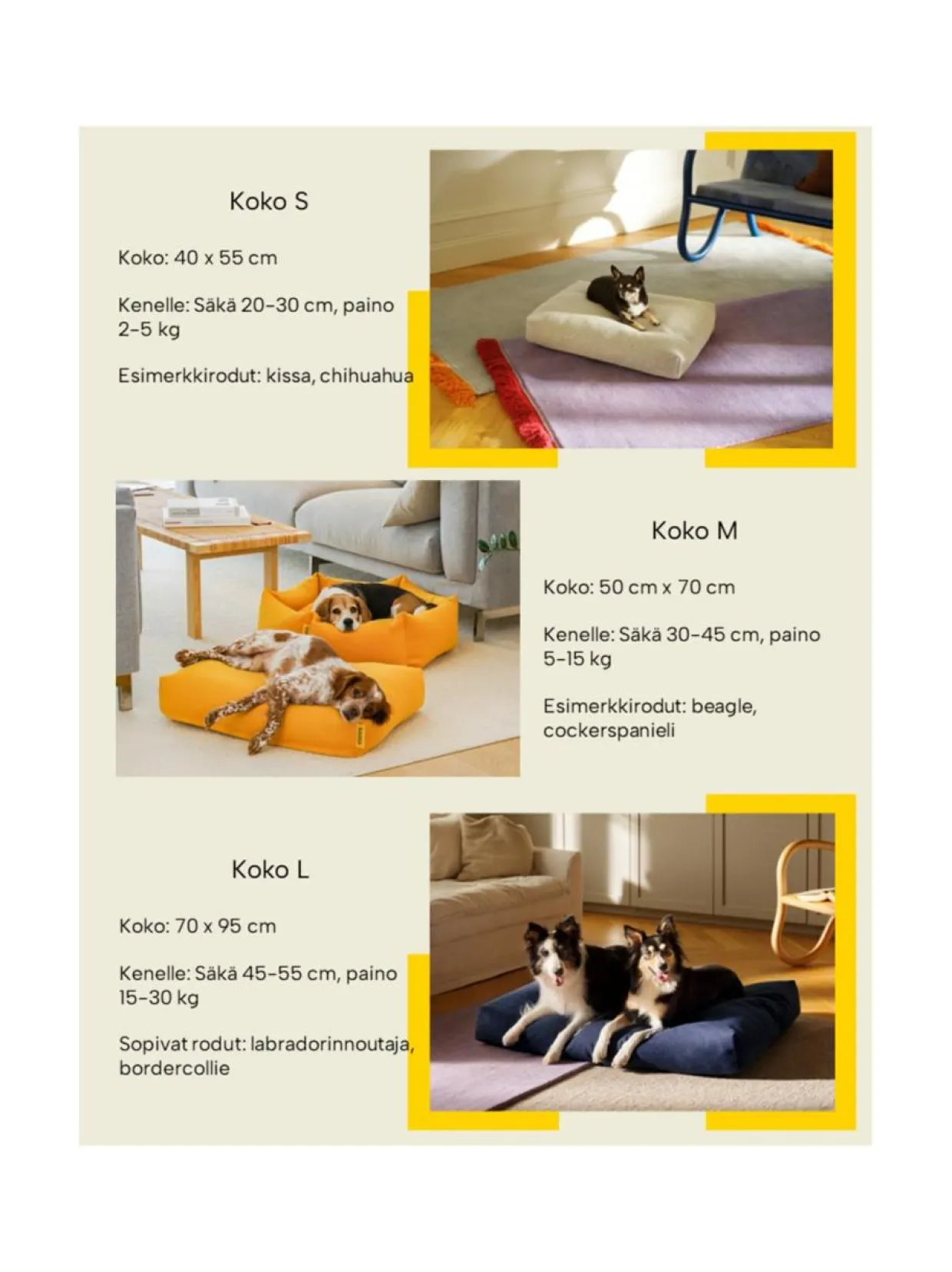 Koiranpeti Oksa Kanto x Kvadrat