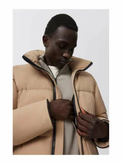 Lawrence-untuvatakki