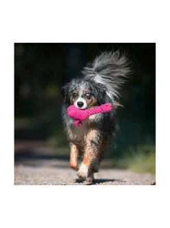 Lelupaketti #2 - Poldi, Didi, Franzi