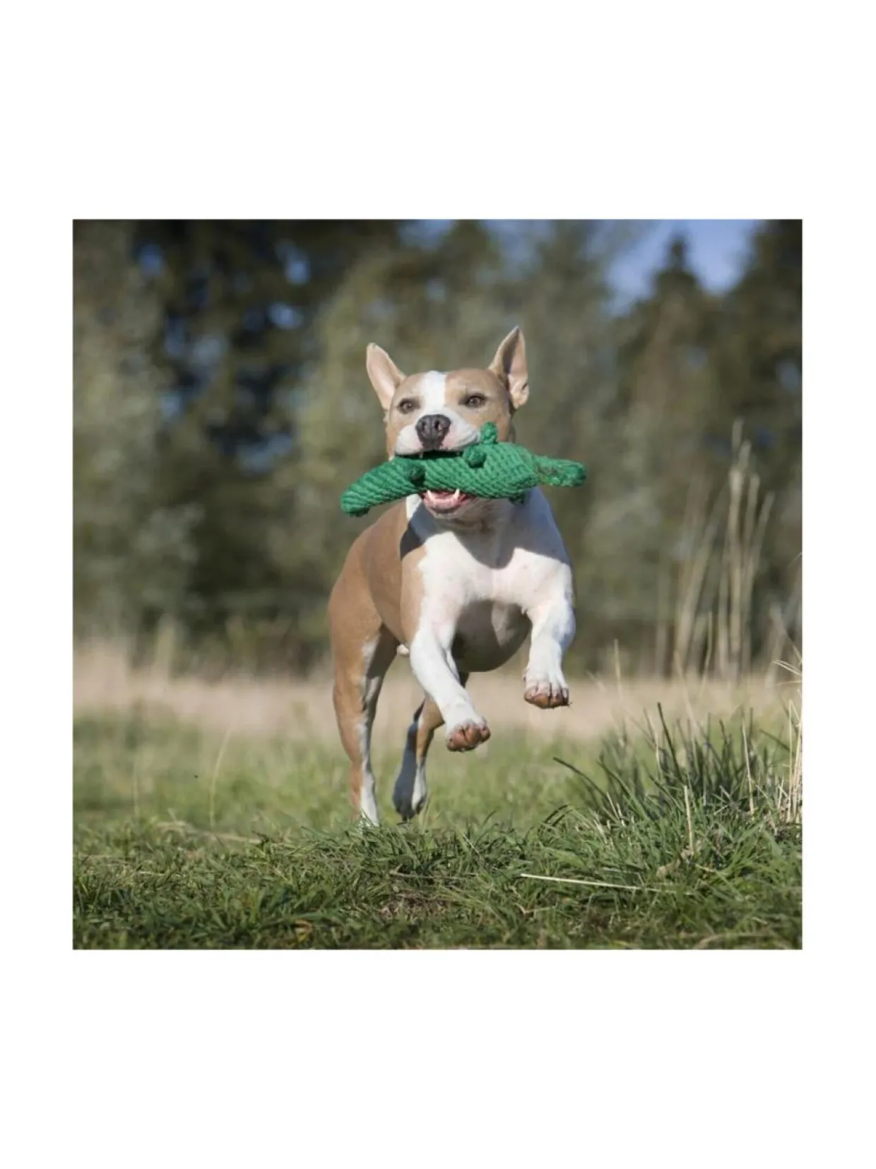 Lelupaketti #4 - Poldi, Kalli, Kurt