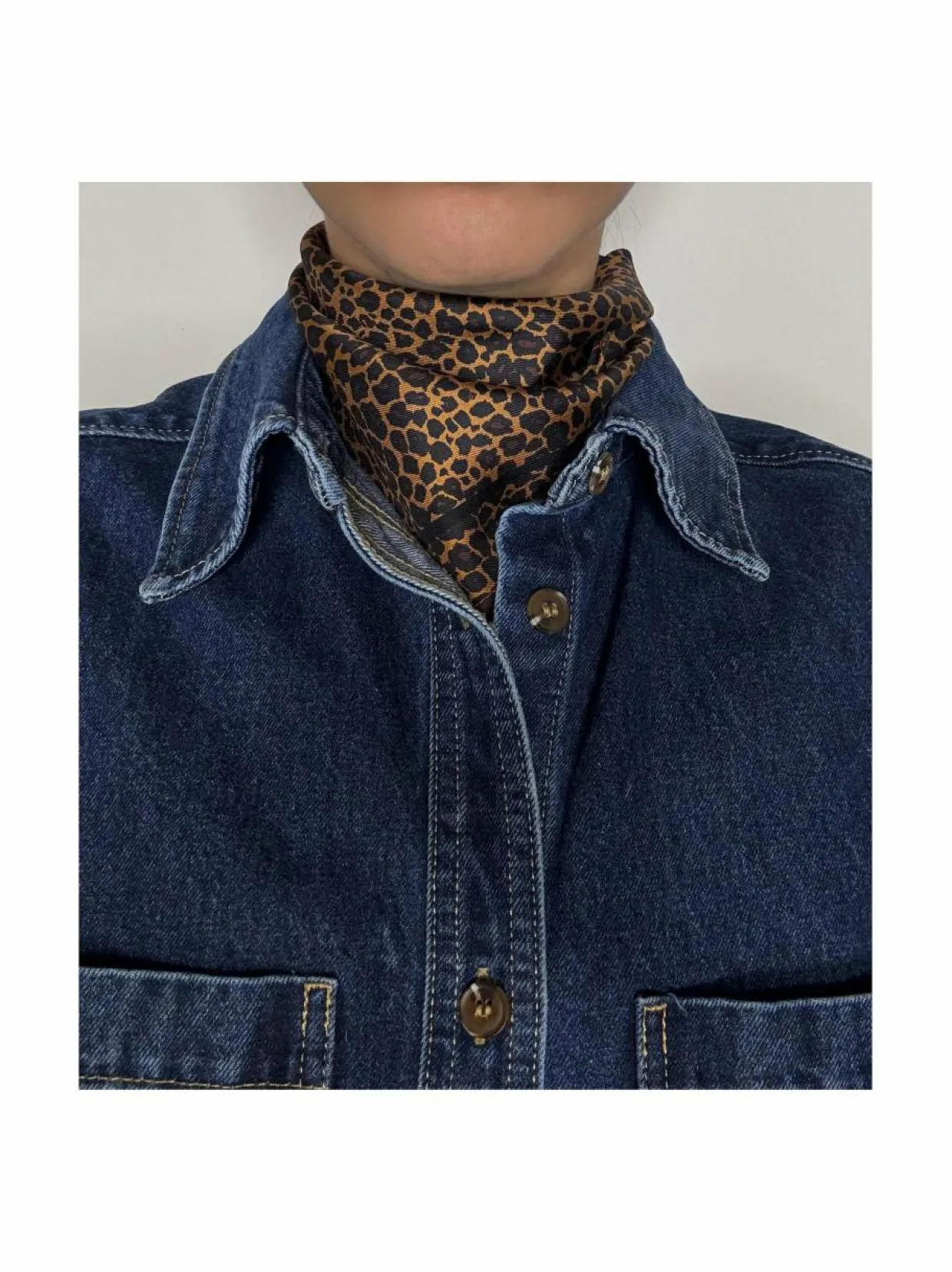 Leo Scarf -silkkihuivi