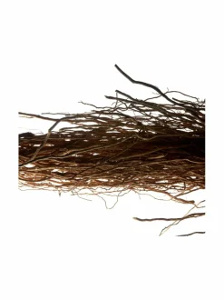 L'Homme Deo stick -deodorantti 75 g