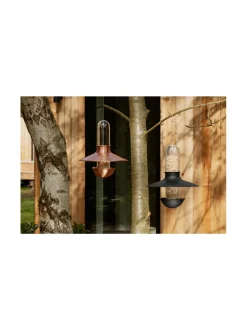 Lintulauta De luxe musta