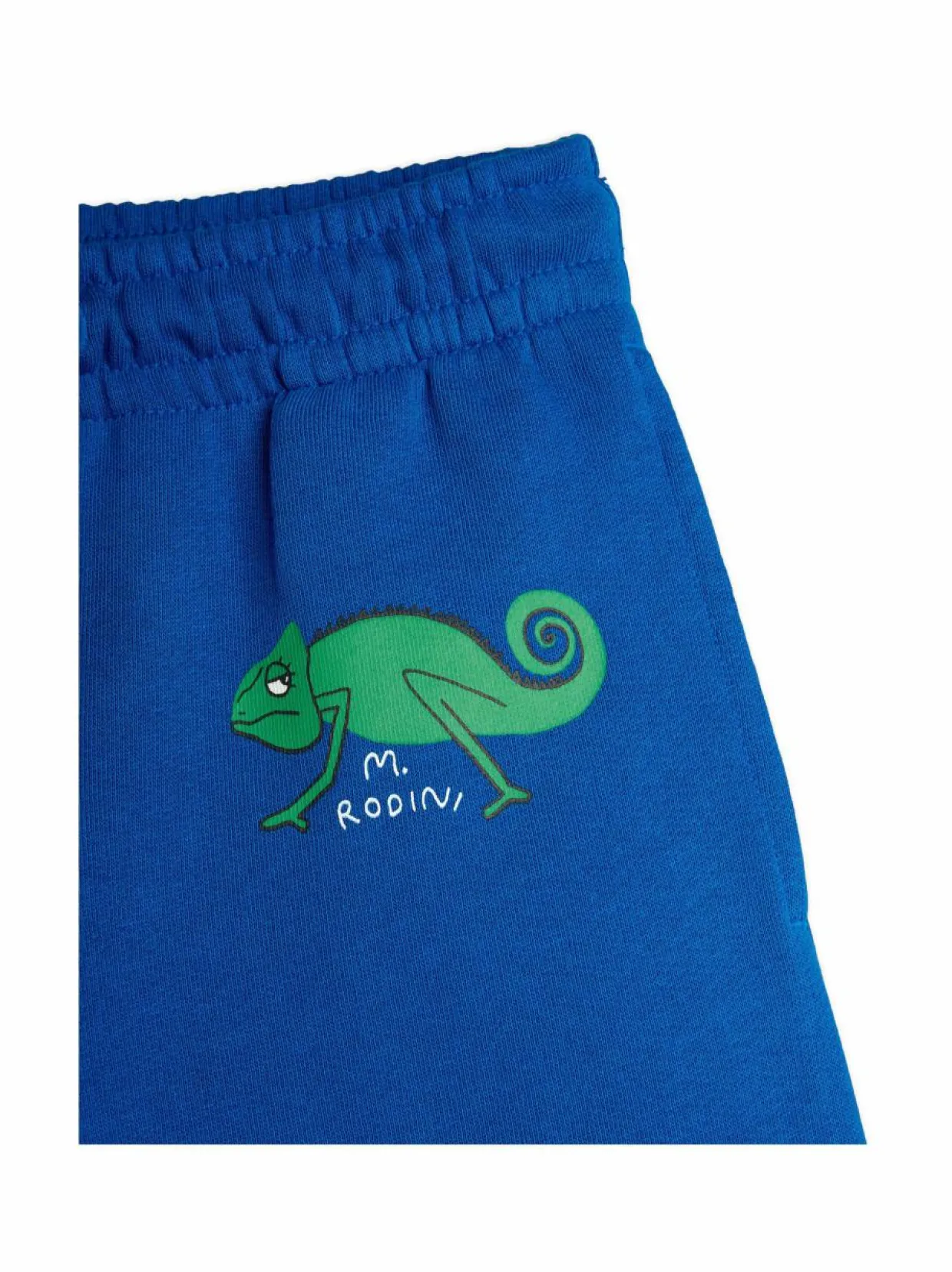 Lizard-collegeshortsit