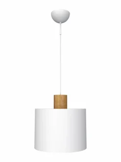 Log 30 -kattovalaisin