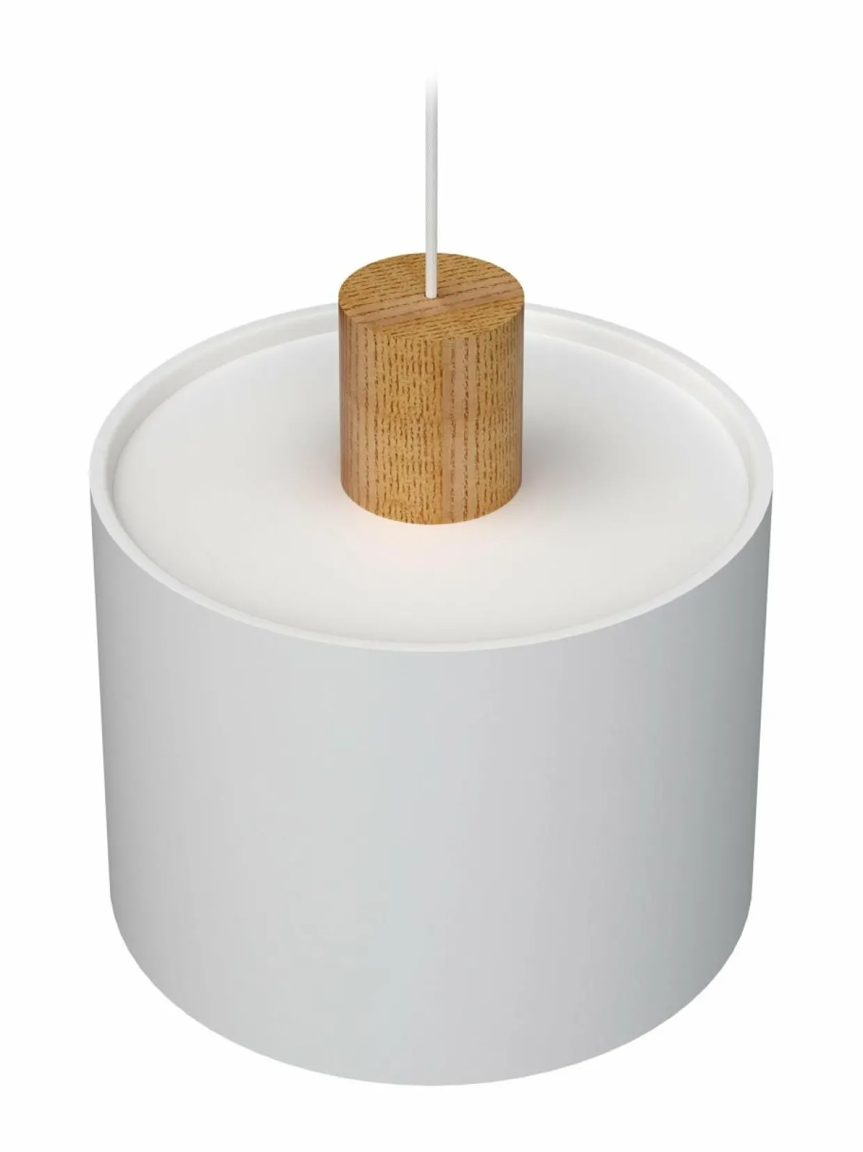 Log 30 -kattovalaisin