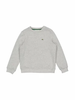 Luomupuuvillainen collegepaita