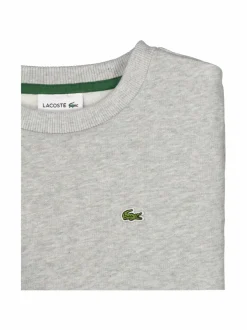 Luomupuuvillainen collegepaita