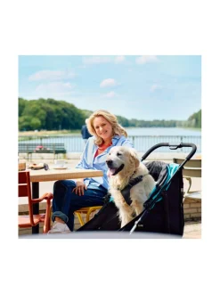 Mamut lemmikkirattaat