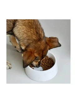 Marmorinen design ruokakulho - Kristallinvalkoinen