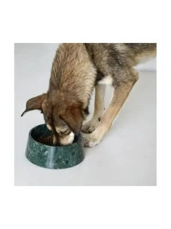 Marmorinen design ruokakulho - Vihreä