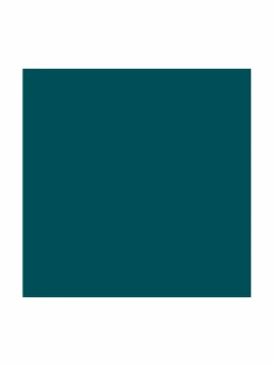 Maxi Mod Colour Mascara -ripsiväri