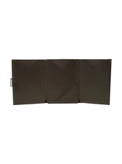 Nahkalompakko, Brown