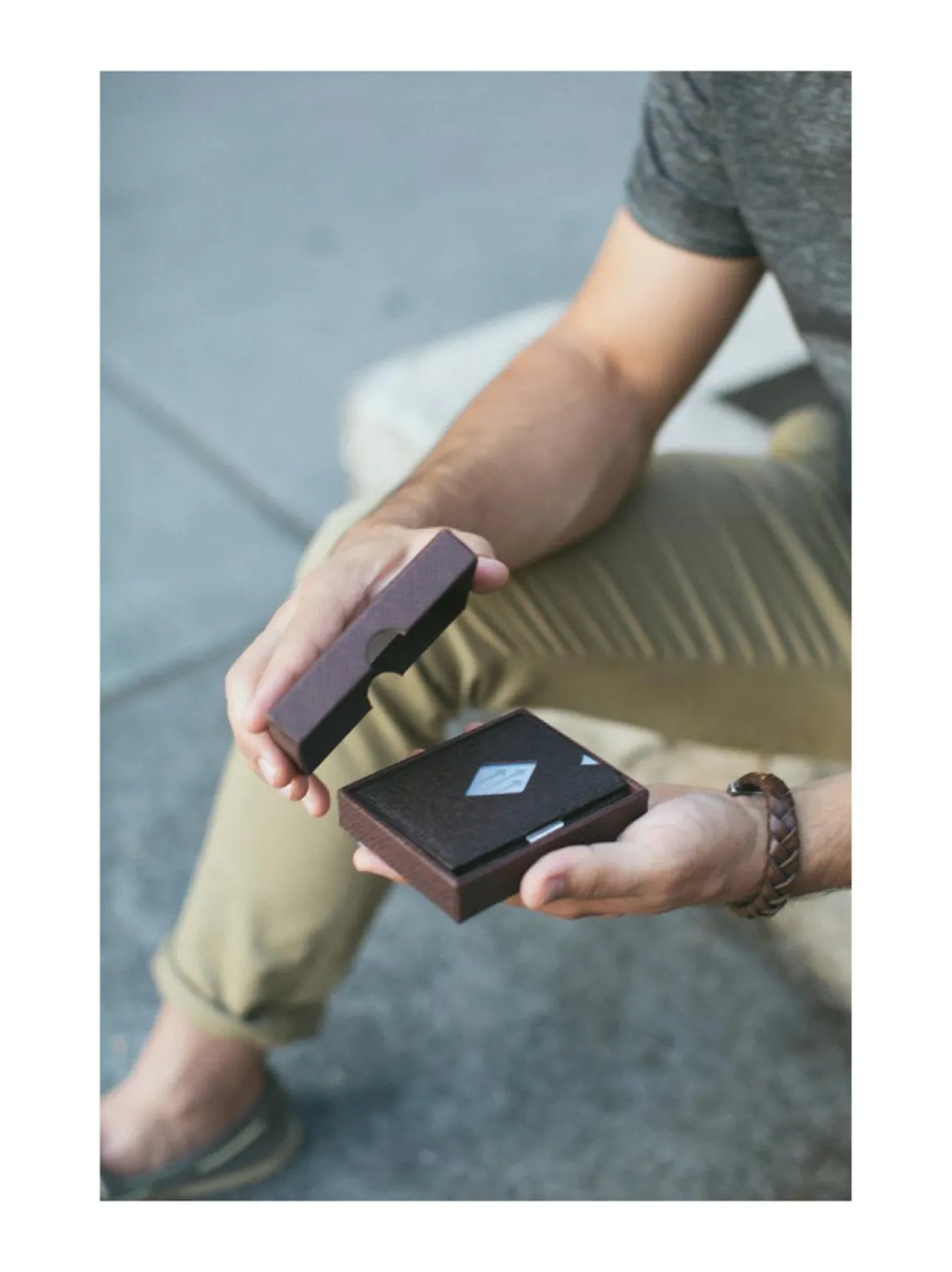 Nahkalompakko, Brown