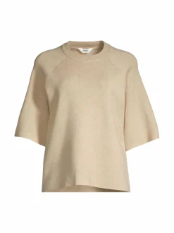 ObjReynard-neulepusero