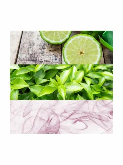 One Deo Stick -deodorantti 75 g