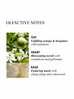 Orange & Bergamot Fine Liquid Hand Wash -käsisaippua 300 ml