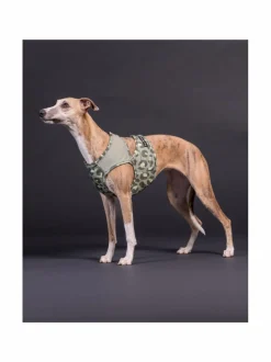 PAIKKA Cool Vest Green Leo