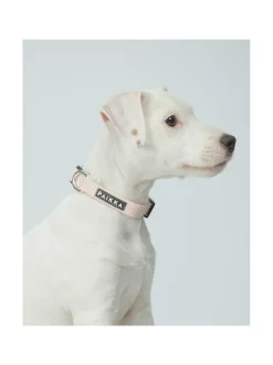 PAIKKA Glow Collar Pale Pink