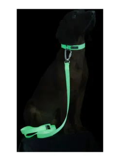 PAIKKA Glow Leash