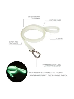PAIKKA Glow Leash