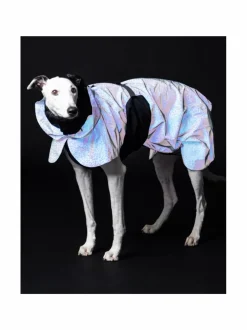 PAIKKA Raincoat 2.0 Baby Blue