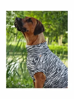 PAIKKA SS25 UV & Bug Shirt