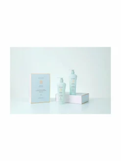 Phyto Balance Duo Set -hiustenhoitopakkaus , 2 tuotetta