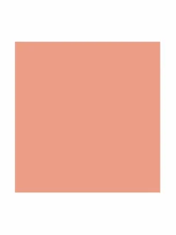 Phyto Lip Twist -sävytetty balsami