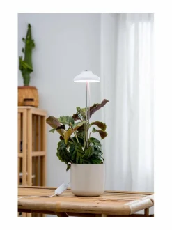 Plant Light Iris -kasvivalaisin 5W/835 240 lm