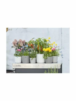 Point-ruukku 15.5 x 13.6 cm