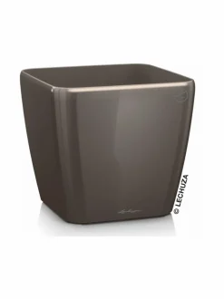 Quadro Taube Altakasteluruukku pyörillä ∅43cm, korkeus 40cm