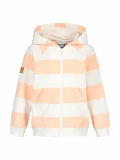 Raidallinen collegehuppari