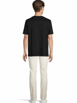 Regular Desert-farkut