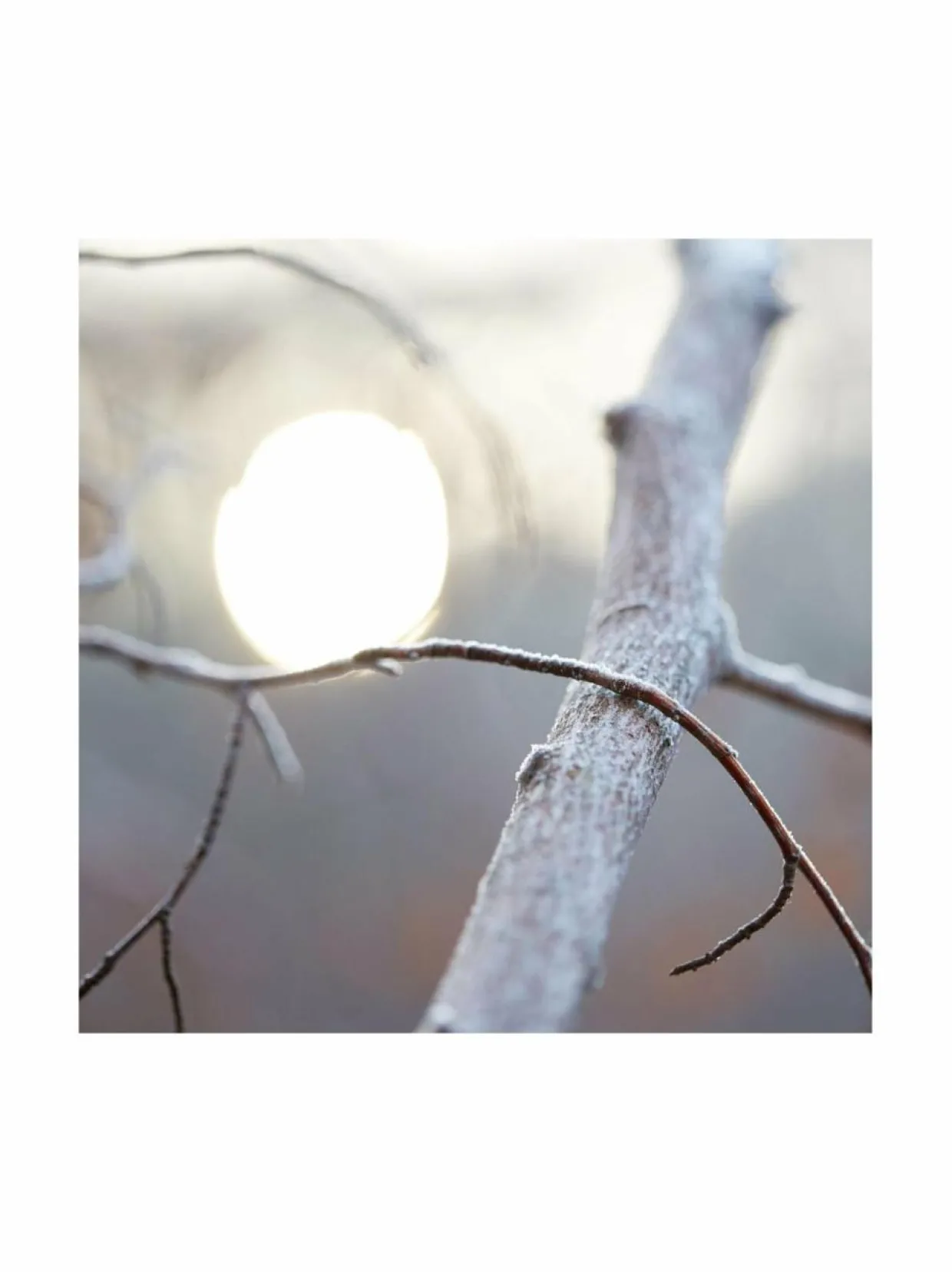 Replica By the Fireplace EdT -tuoksu