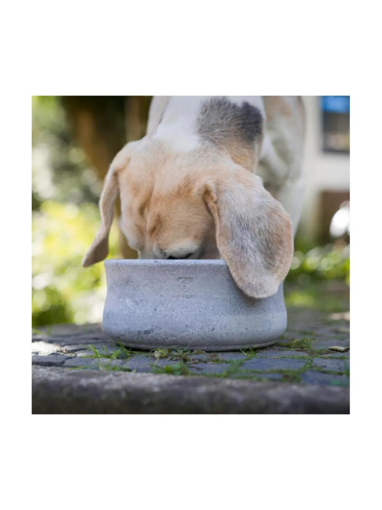 Rocky vuolukivi design ruokakulho - Tuplapakkaus