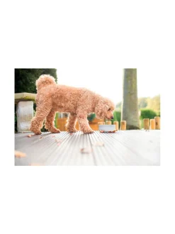 Rocky vuolukivi design ruokakulho - Tuplapakkaus