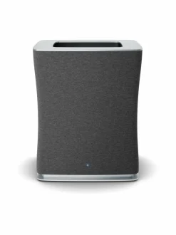 Roger Big -ilmanpuhdistin