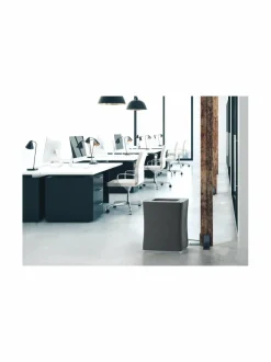 Roger Big -ilmanpuhdistin