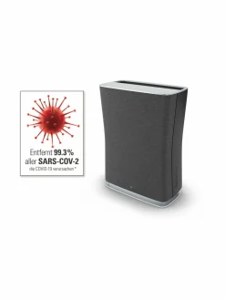 Roger Little -ilmanpuhdistin