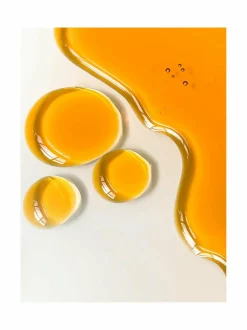 Rosehip Bioregenerate Universal Face Oil -kasvoöljy 10 ml