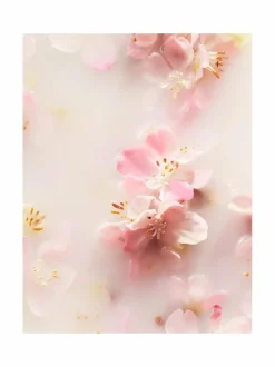 Sakura Foaming Shower Gel -vaahtoava suihkugeeli 200 ml