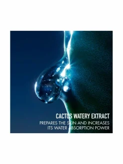 Sauvage The Toner Face Toner Lotion -kasvovesi