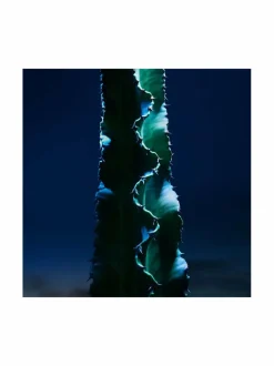 Sauvage The Toner Face Toner Lotion -kasvovesi