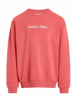 Script Logo -collegepaita