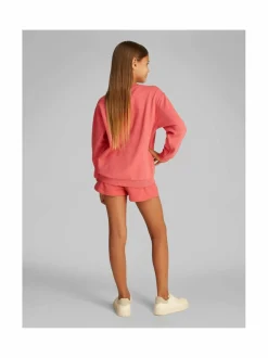 Script Logo -collegepaita