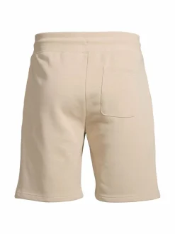 Shield-collegeshortsit