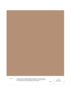 Sävymalli 022 EVELYN - mid rose-brown