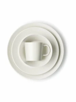 Teema-lautanen 21 cm