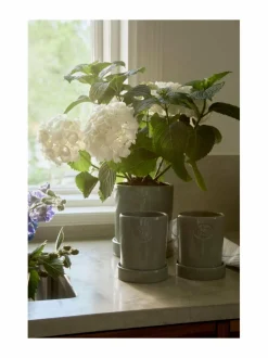 Terrakotta-kasviruukku